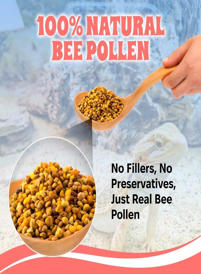 Snout and Shell Bee Pollen Nuggets for Reptiles - Natural Supplement for Bearded Dragons, Skinks, and More - Reptile Bee Pollen Powder, Appetite Booster - 2 oz Resealable Pack - Image 4